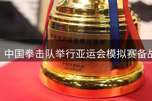 中国拳击队举行亚运会模拟赛备战训练